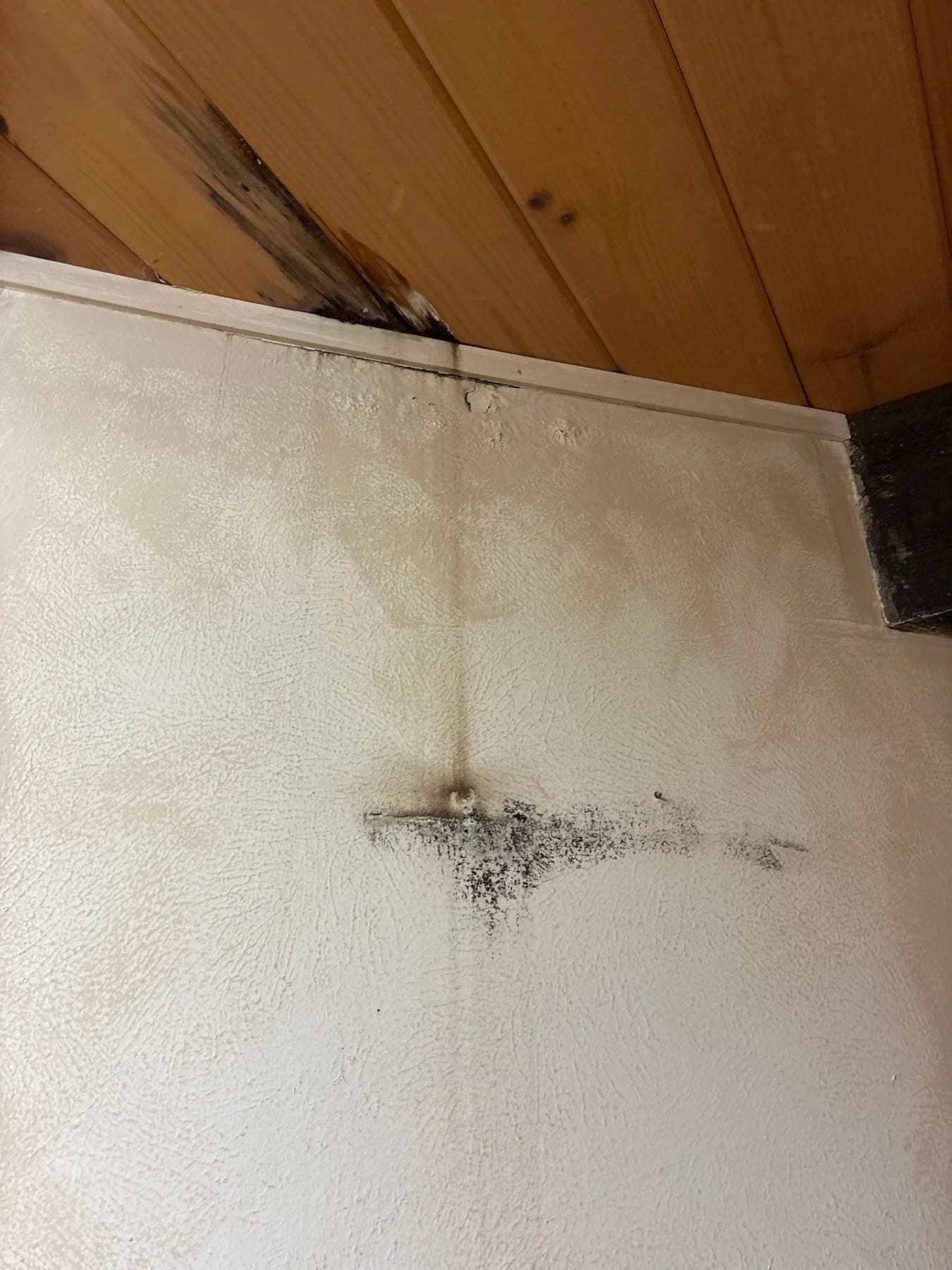Dark staining at the corner where a wall meets a wood ceiling