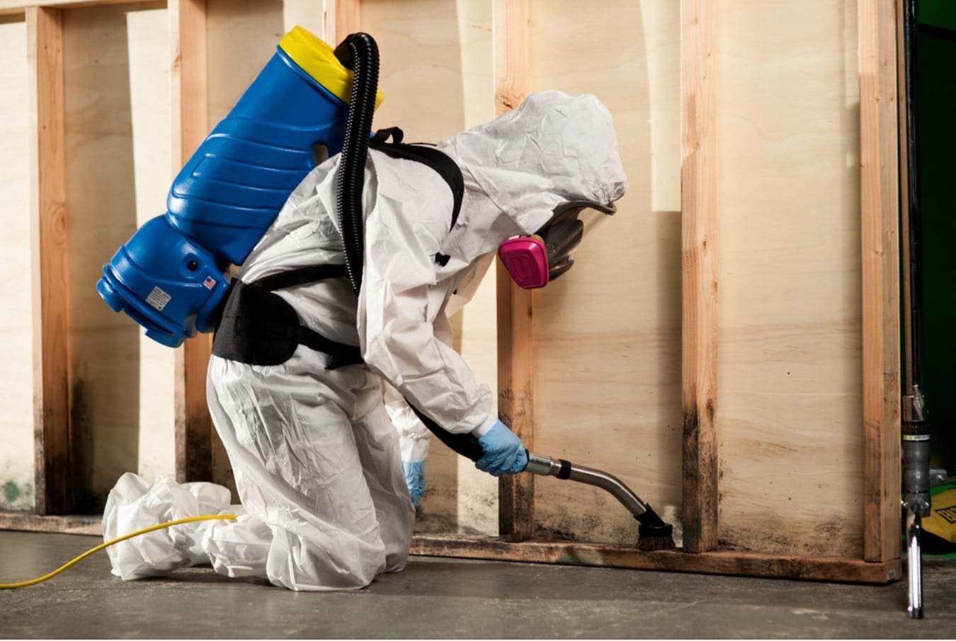 Technician in protective gear HEPA-vacuuming mold from stripped wall framing