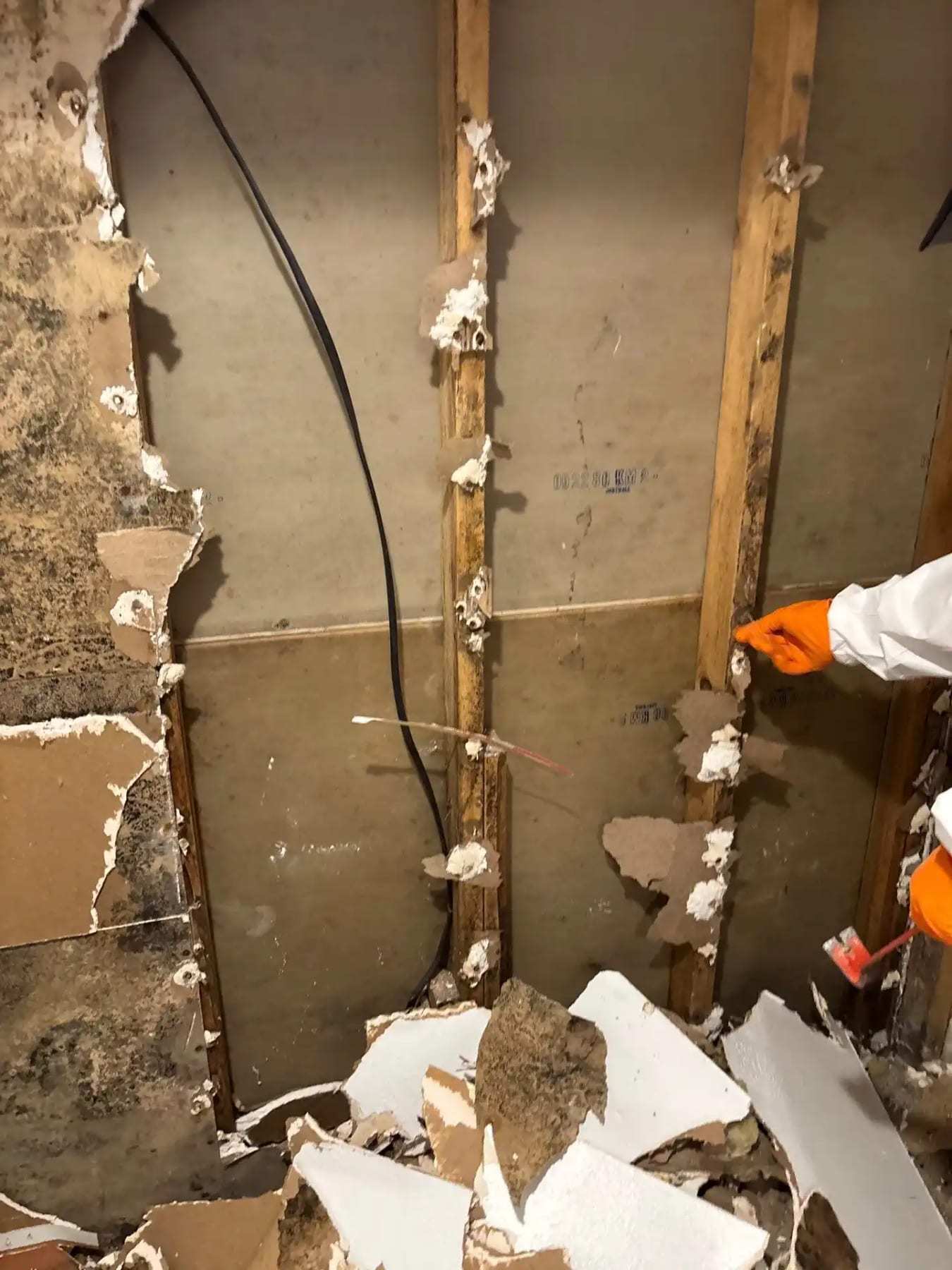 Wall with mold-stained drywall broken away from the studs