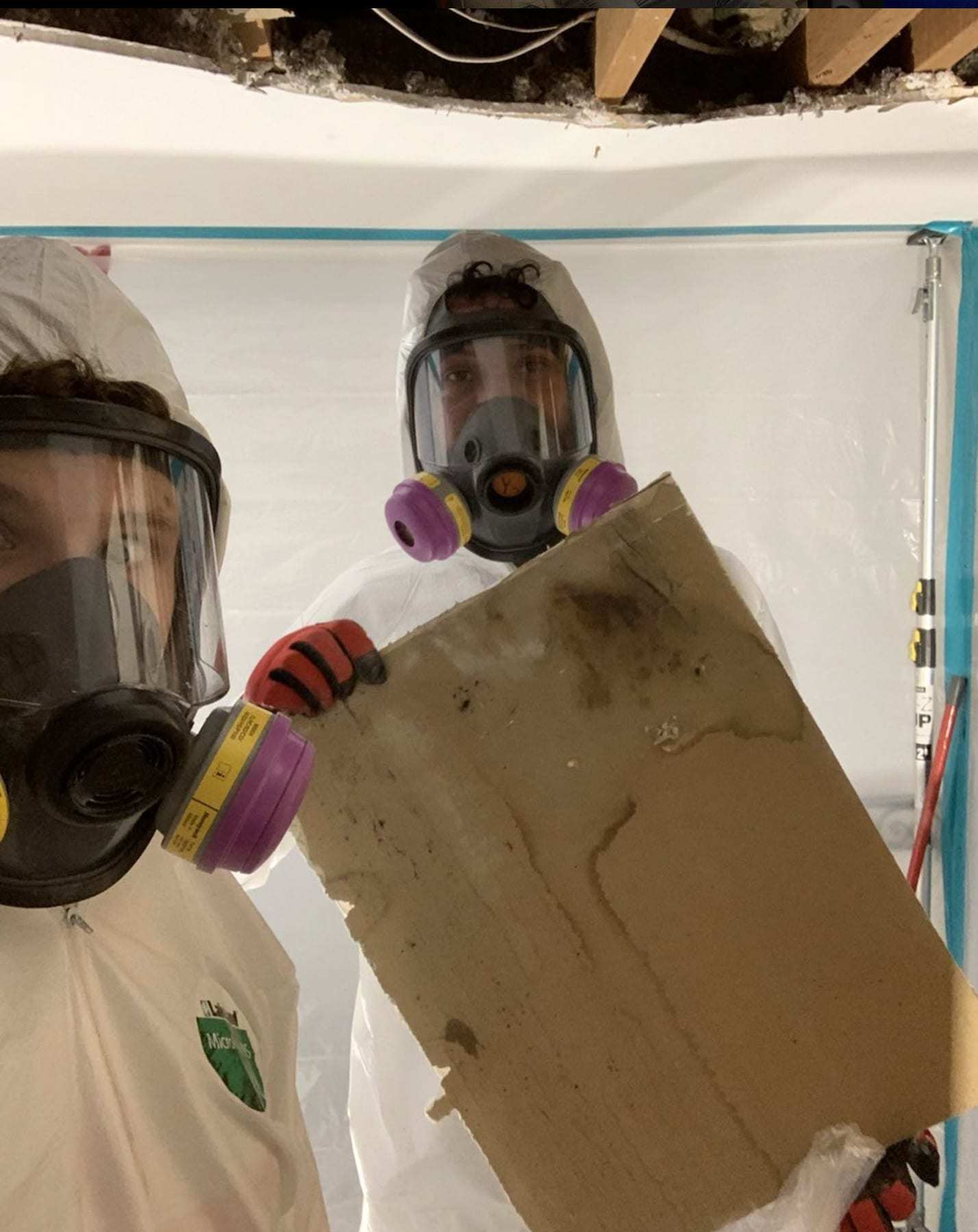Two technicians in respirators removing a piece of moldy drywall